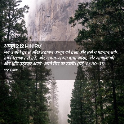 Picture 02 - अय्यूब 2:12 HINIRV - जब उन्होंने दूर से - Bible Verse Picture