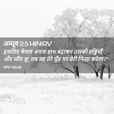 Picture 02 - अय्यूब 2:5 HINIRV - इसलिए केवल अपना - Bible Verse Picture