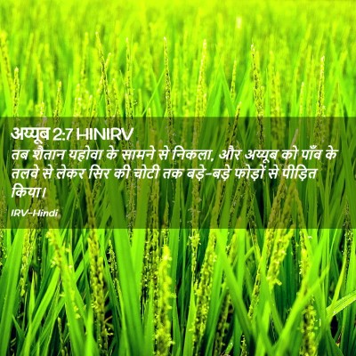 Picture 02 - अय्यूब 2:7 HINIRV - तब शैतान यहोवा के - Bible Verse Picture