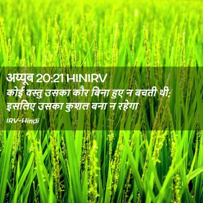 Picture 02 - अय्यूब 20:21 HINIRV - कोई वस्तु उसका कौर - Bible Verse Picture