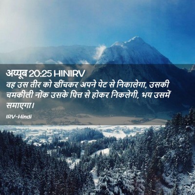 Picture 02 - अय्यूब 20:25 HINIRV - वह उस तीर को खींचकर - Bible Verse Picture