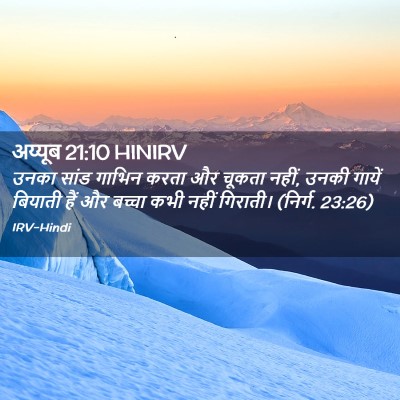 Picture 02 - अय्यूब 21:10 HINIRV - उनका सांड गाभिन - Bible Verse Picture
