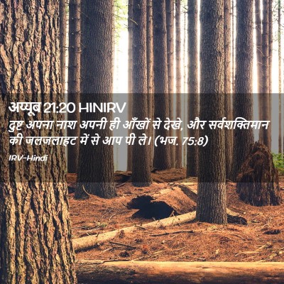 Picture 02 - अय्यूब 21:20 HINIRV - दुष्ट अपना नाश - Bible Verse Picture