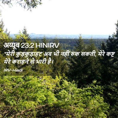 Picture 02 - अय्यूब 23:2 HINIRV - “मेरी कुड़कुड़ाहट - Bible Verse Picture