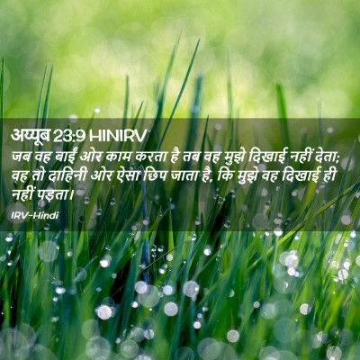 Picture 02 - अय्यूब 23:9 HINIRV - जब वह बाईं ओर काम - Bible Verse Picture