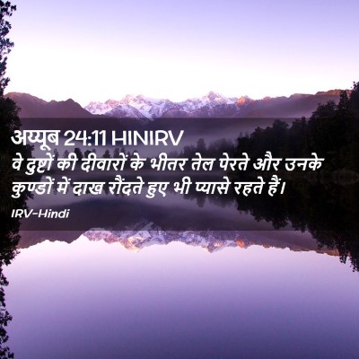 Picture 02 - अय्यूब 24:11 HINIRV - वे दुष्टों की - Bible Verse Picture