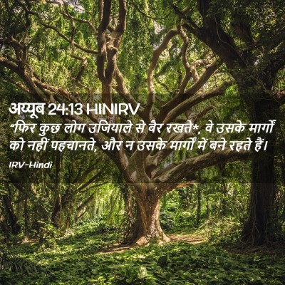 Picture 02 - अय्यूब 24:13 HINIRV - “फिर कुछ लोग - Bible Verse Picture