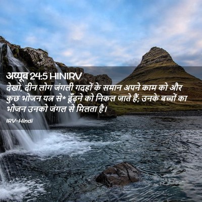 Picture 02 - अय्यूब 24:5 HINIRV - देखो, दीन लोग जंगली - Bible Verse Picture