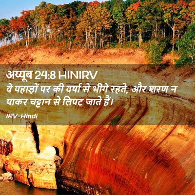 Picture 02 - अय्यूब 24:8 HINIRV - वे पहाड़ों पर की - Bible Verse Picture