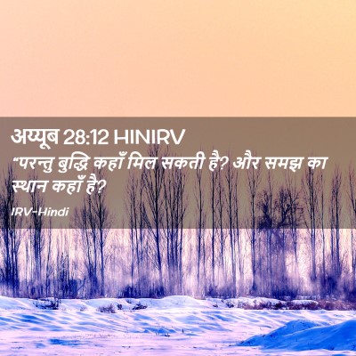 Picture 02 - अय्यूब 28:12 HINIRV - “परन्तु बुद्धि - Bible Verse Picture
