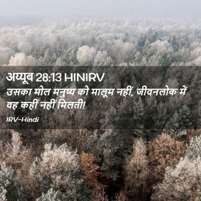 Picture 02 - अय्यूब 28:13 HINIRV - उसका मोल मनुष्य को - Bible Verse Picture