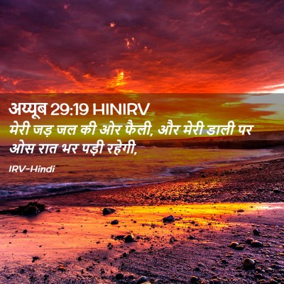 Picture 02 - अय्यूब 29:19 HINIRV - मेरी जड़ जल की ओर - Bible Verse Picture