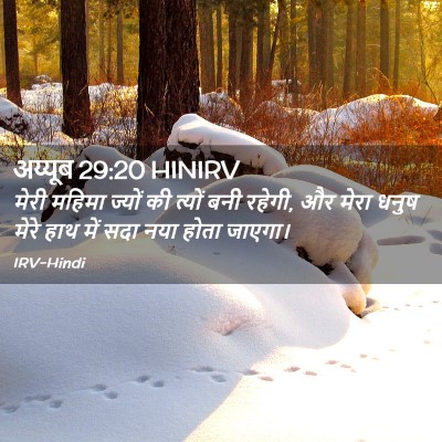 Picture 02 - अय्यूब 29:20 HINIRV - मेरी महिमा ज्यों - Bible Verse Picture