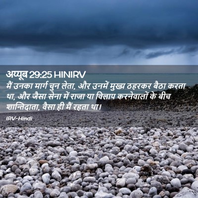 Picture 02 - अय्यूब 29:25 HINIRV - मैं उनका मार्ग चुन - Bible Verse Picture