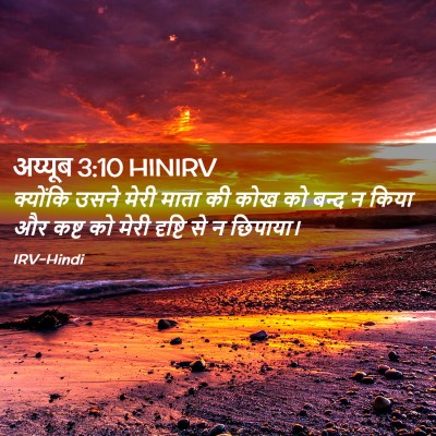 Picture 02 - अय्यूब 3:10 HINIRV - क्योंकि उसने मेरी - Bible Verse Picture