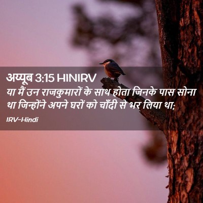 Picture 02 - अय्यूब 3:15 HINIRV - या मैं उन - Bible Verse Picture
