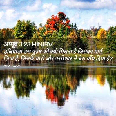 Picture 02 - अय्यूब 3:23 HINIRV - उजियाला उस पुरुष - Bible Verse Picture