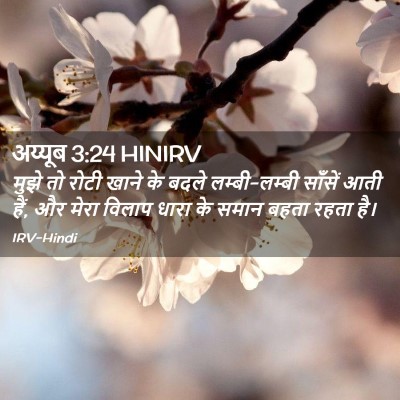 Picture 02 - अय्यूब 3:24 HINIRV - मुझे तो रोटी खाने - Bible Verse Picture