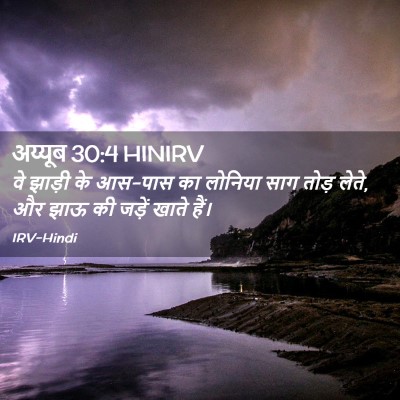 Picture 02 - अय्यूब 30:4 HINIRV - वे झाड़ी के आस-पास - Bible Verse Picture