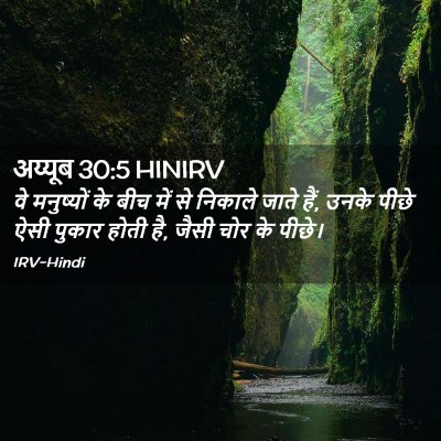 Picture 02 - अय्यूब 30:5 HINIRV - वे मनुष्यों के बीच - Bible Verse Picture