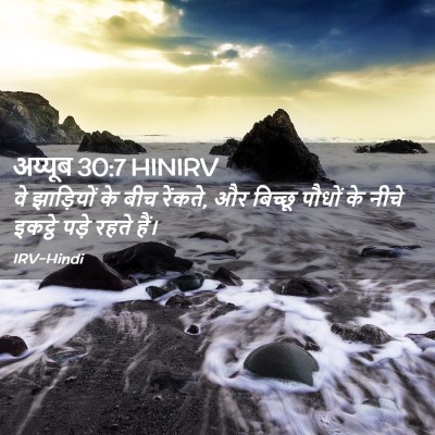 Picture 02 - अय्यूब 30:7 HINIRV - वे झाड़ियों के बीच - Bible Verse Picture