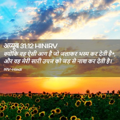 Picture 02 - अय्यूब 31:12 HINIRV - क्योंकि वह ऐसी आग - Bible Verse Picture