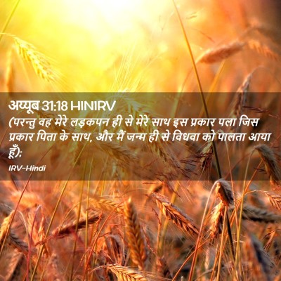 Picture 02 - अय्यूब 31:18 HINIRV - (परन्तु वह मेरे - Bible Verse Picture