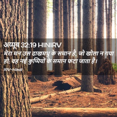 Picture 02 - अय्यूब 32:19 HINIRV - मेरा मन उस दाखमधु - Bible Verse Picture