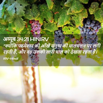 Picture 02 - अय्यूब 34:21 HINIRV - “क्योंकि - Bible Verse Picture
