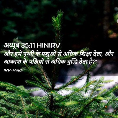 Picture 02 - अय्यूब 35:11 HINIRV - और हमें पृथ्वी के - Bible Verse Picture