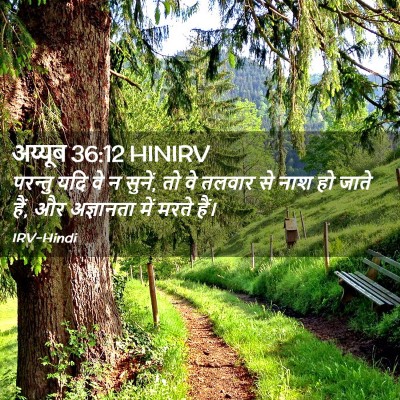 Picture 02 - अय्यूब 36:12 HINIRV - परन्तु यदि वे न - Bible Verse Picture