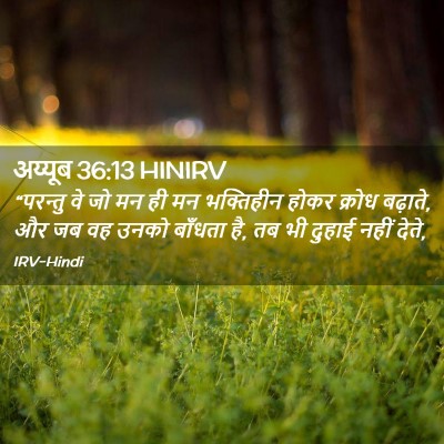 Picture 02 - अय्यूब 36:13 HINIRV - “परन्तु वे जो मन ही - Bible Verse Picture