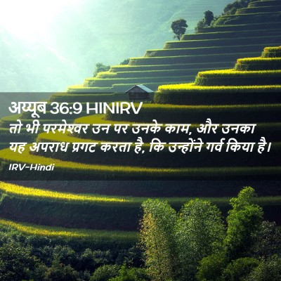 Picture 02 - अय्यूब 36:9 HINIRV - तो भी परमेश्‍वर उन - Bible Verse Picture