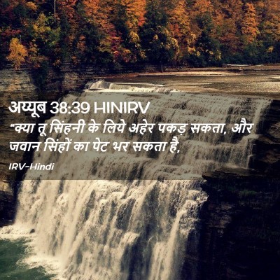 Picture 02 - अय्यूब 38:39 HINIRV - “क्या तू सिंहनी के - Bible Verse Picture