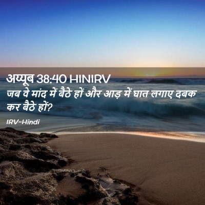 Picture 02 - अय्यूब 38:40 HINIRV - जब वे मांद में बैठे - Bible Verse Picture