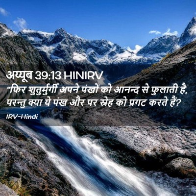 Picture 02 - अय्यूब 39:13 HINIRV - “फिर शुतुर्मुर्गी - Bible Verse Picture