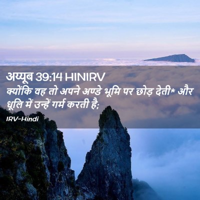 Picture 02 - अय्यूब 39:14 HINIRV - क्योंकि वह तो अपने - Bible Verse Picture