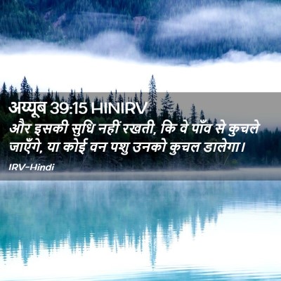 Picture 02 - अय्यूब 39:15 HINIRV - और इसकी सुधि नहीं - Bible Verse Picture