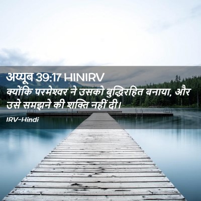 Picture 02 - अय्यूब 39:17 HINIRV - क्योंकि परमेश्‍वर - Bible Verse Picture