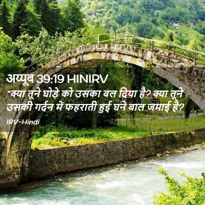 Picture 02 - अय्यूब 39:19 HINIRV - “क्या तूने घोड़े - Bible Verse Picture