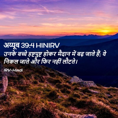 Picture 02 - अय्यूब 39:4 HINIRV - उनके बच्चे - Bible Verse Picture