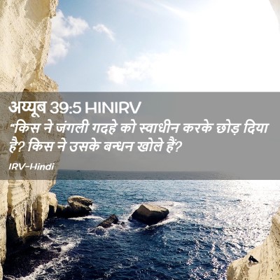 Picture 02 - अय्यूब 39:5 HINIRV - “किस ने जंगली गदहे - Bible Verse Picture