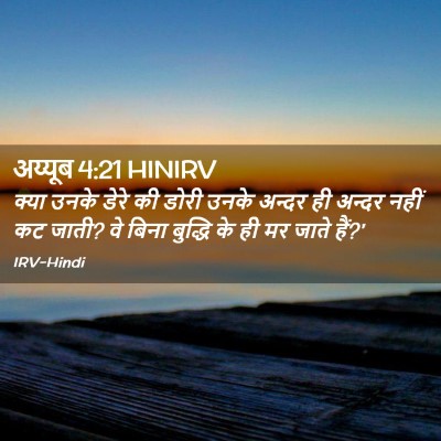 Picture 02 - अय्यूब 4:21 HINIRV - क्या उनके डेरे की - Bible Verse Picture