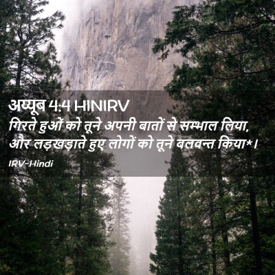 Picture 02 - अय्यूब 4:4 HINIRV - गिरते हुओं को तूने - Bible Verse Picture
