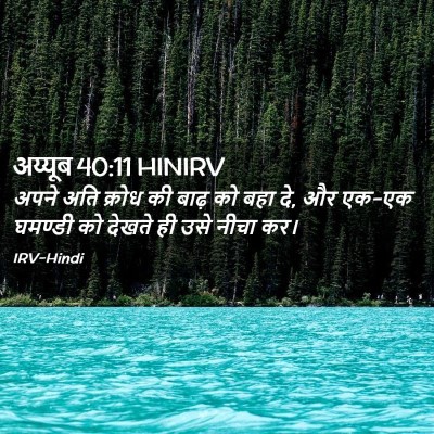 Picture 02 - अय्यूब 40:11 HINIRV - अपने अति क्रोध की - Bible Verse Picture