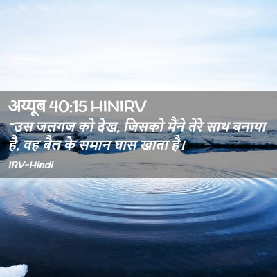 Picture 02 - अय्यूब 40:15 HINIRV - “उस जलगज को देख, - Bible Verse Picture