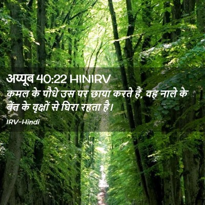Picture 02 - अय्यूब 40:22 HINIRV - कमल के पौधे उस पर - Bible Verse Picture