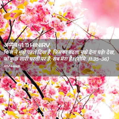 Picture 02 - अय्यूब 41:11 HINIRV - किस ने मुझे पहले - Bible Verse Picture