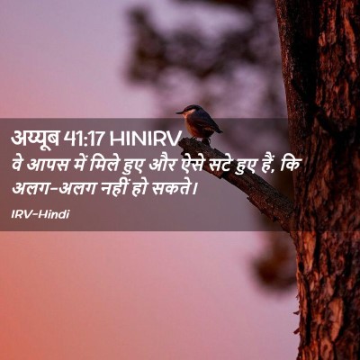 Picture 02 - अय्यूब 41:17 HINIRV - वे आपस में मिले हुए - Bible Verse Picture