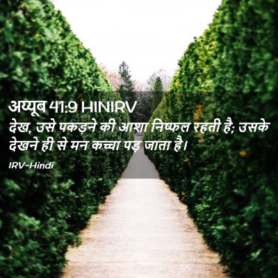 Picture 02 - अय्यूब 41:9 HINIRV - देख, उसे पकड़ने की - Bible Verse Picture
